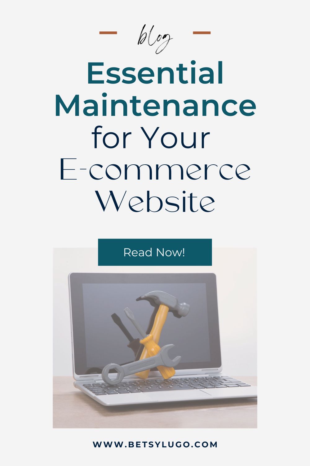 Essential Maintenance for Your E-commerce Website-Pinterest pin