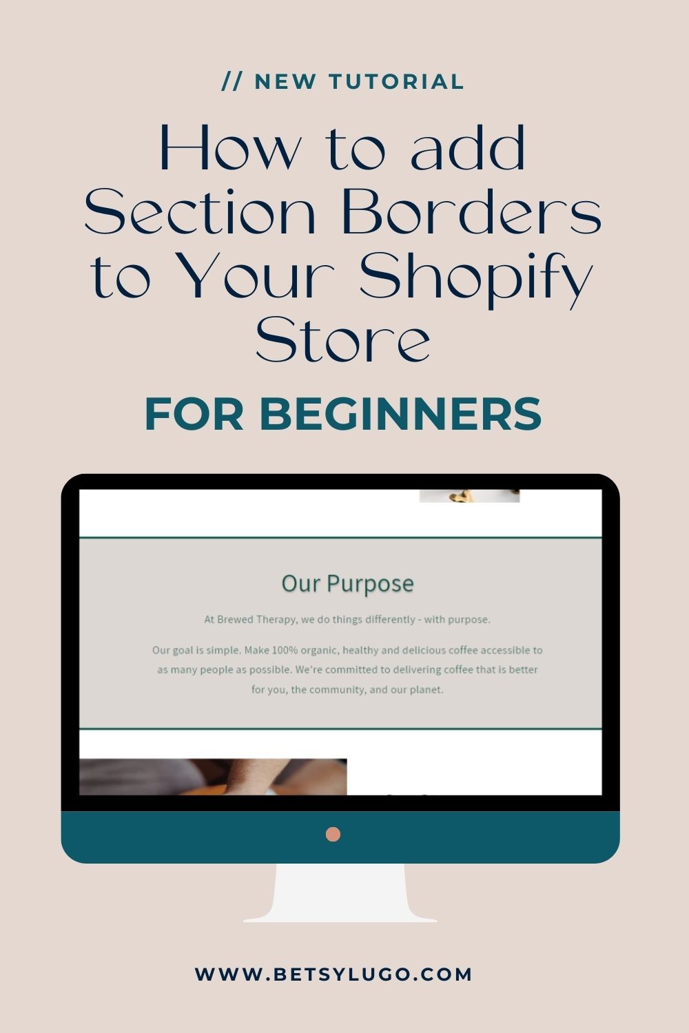 How to add section borders to your shopify store for beginner pin image
